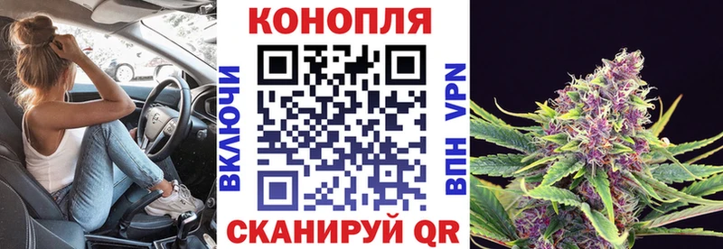 kraken ССЫЛКА  Курчатов  Бошки Шишки Amnesia 